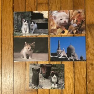 5 Small Plastic Card Folders